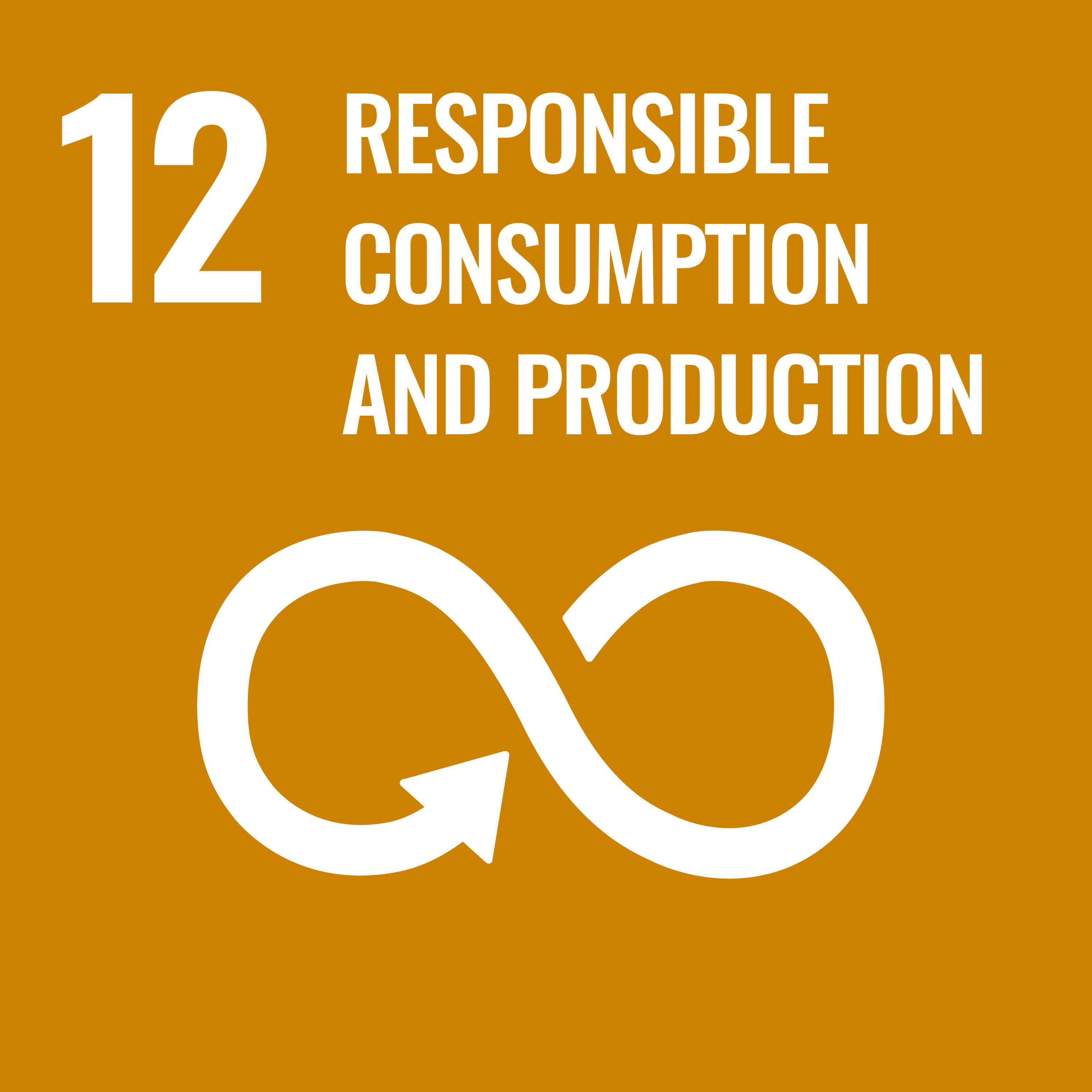 ODD 12 — Consommation et production responsables